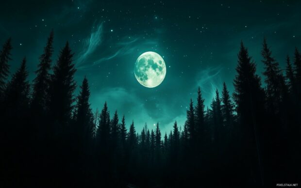 A dramatic night sky 1920x1200 wallpaper with a massive full moon illuminating a dark forest.