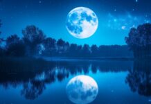 A large full moon reflecting on the surface of a still lake, with silhouettes of trees in the background and stars twinkling overhead.