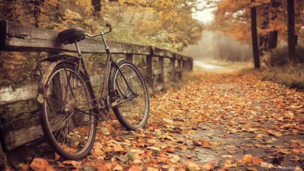 A lone vintage bicycle leaning against an old wooden fence with autumn leaves scattered on the ground, muted colors.