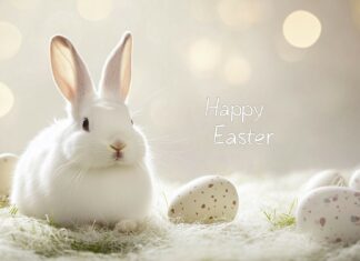 A minimalist Easter Bunny wallpaper with Happy Easter elegantly placed at the center, surrounded by soft light, gentle hues, and delicate Easter decorations.