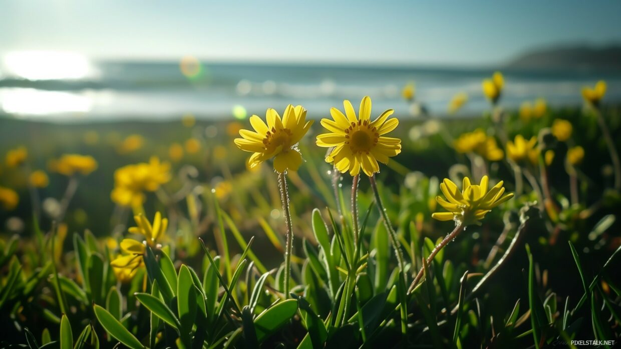 Spring Flowers Wallpapers HD (100+ Images) - PixelsTalk
