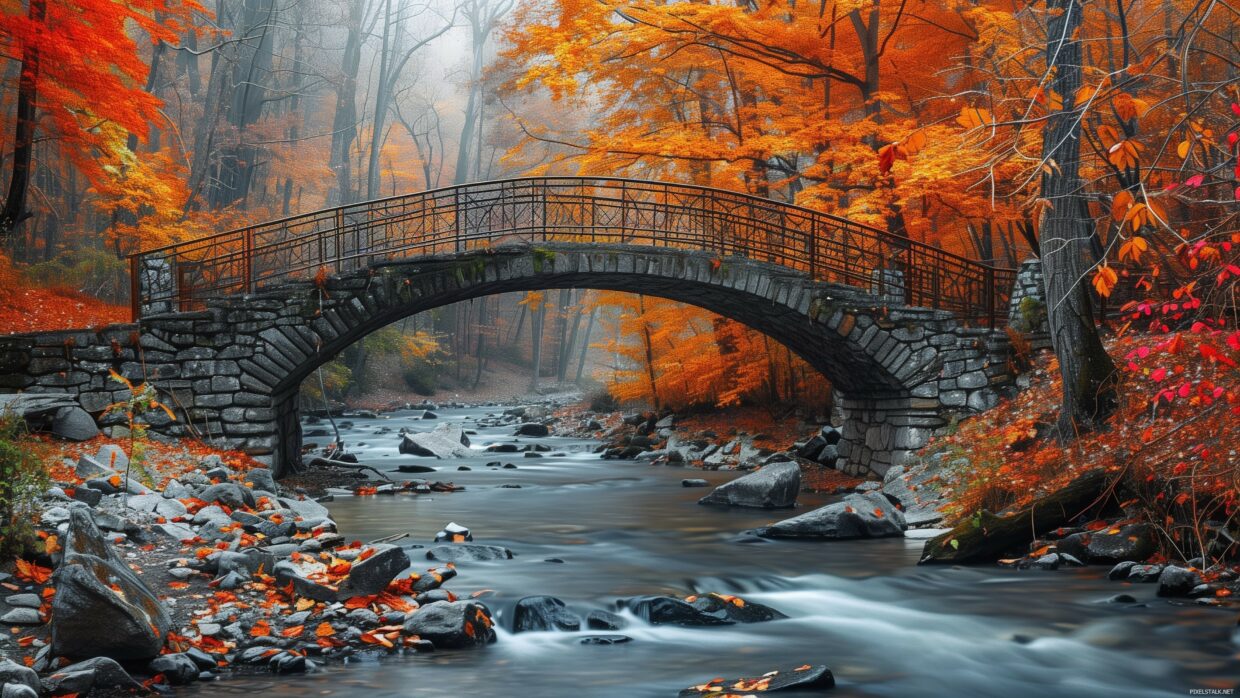 Autumn Trees Wallpaper - PixelsTalk