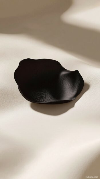 Black rose petal resting on a smooth white surface, with soft shadows that accentuate its shape and beauty.