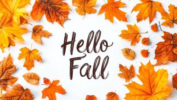 Clean white background with the word Hello Fall in a stylish font surrounded by subtle autumn leaf accents.