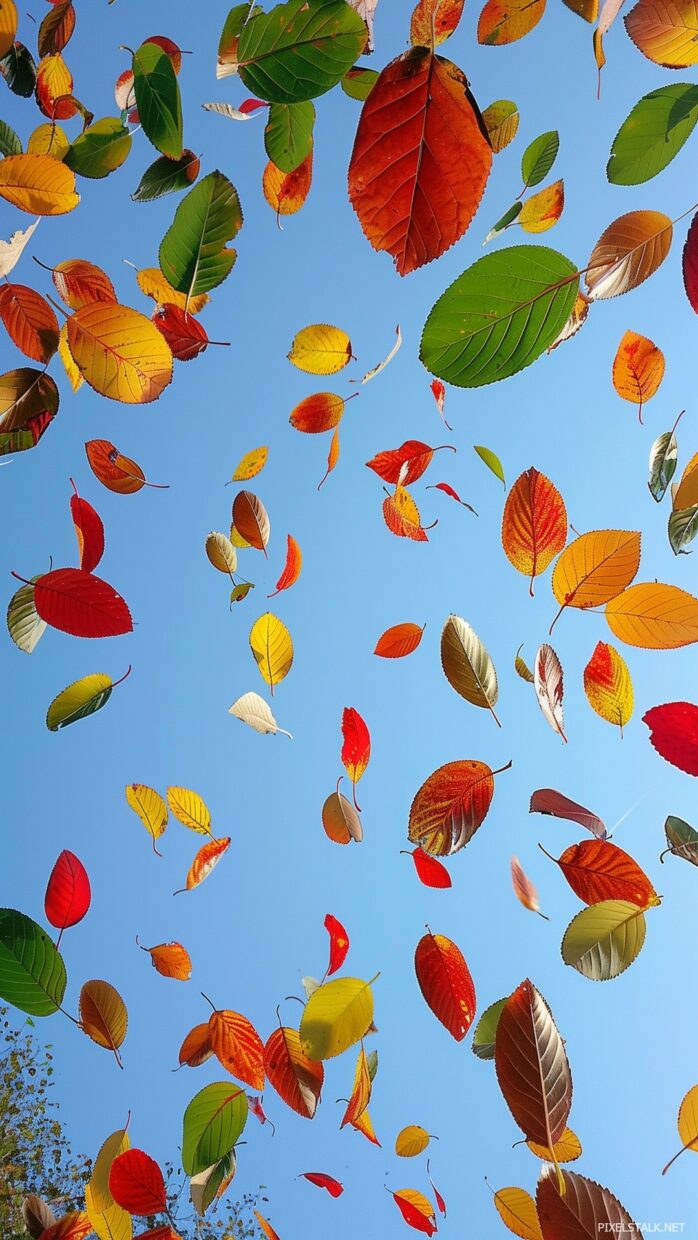 Fall phone wallpapers - PixelsTalk