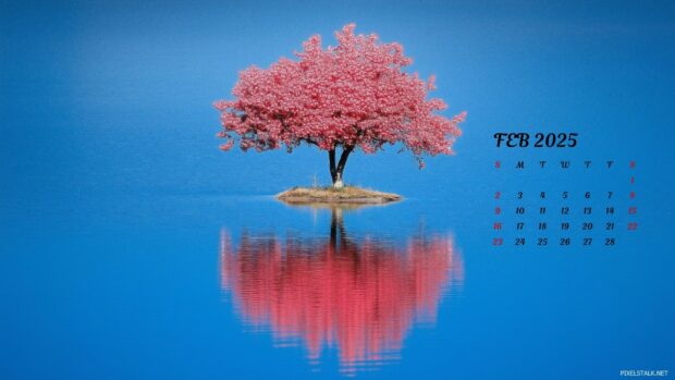 February 2025 Calendar Backgrounds.
