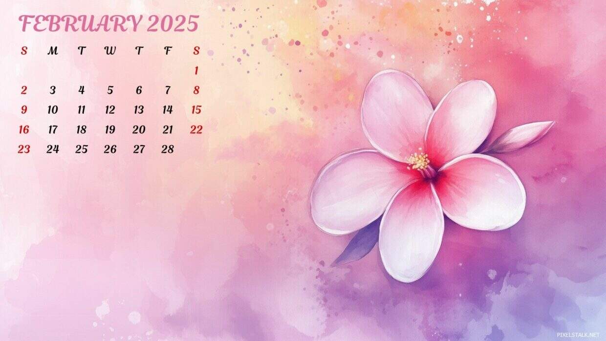 February 2025 Calendar Wallpaper HD PixelsTalk — free download