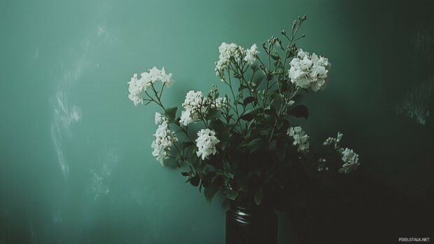 Free download dark green wallpaper with a slight gradient effect.