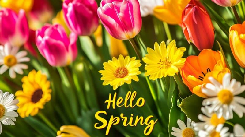 Spring Season Wallpaper HD - PixelsTalk