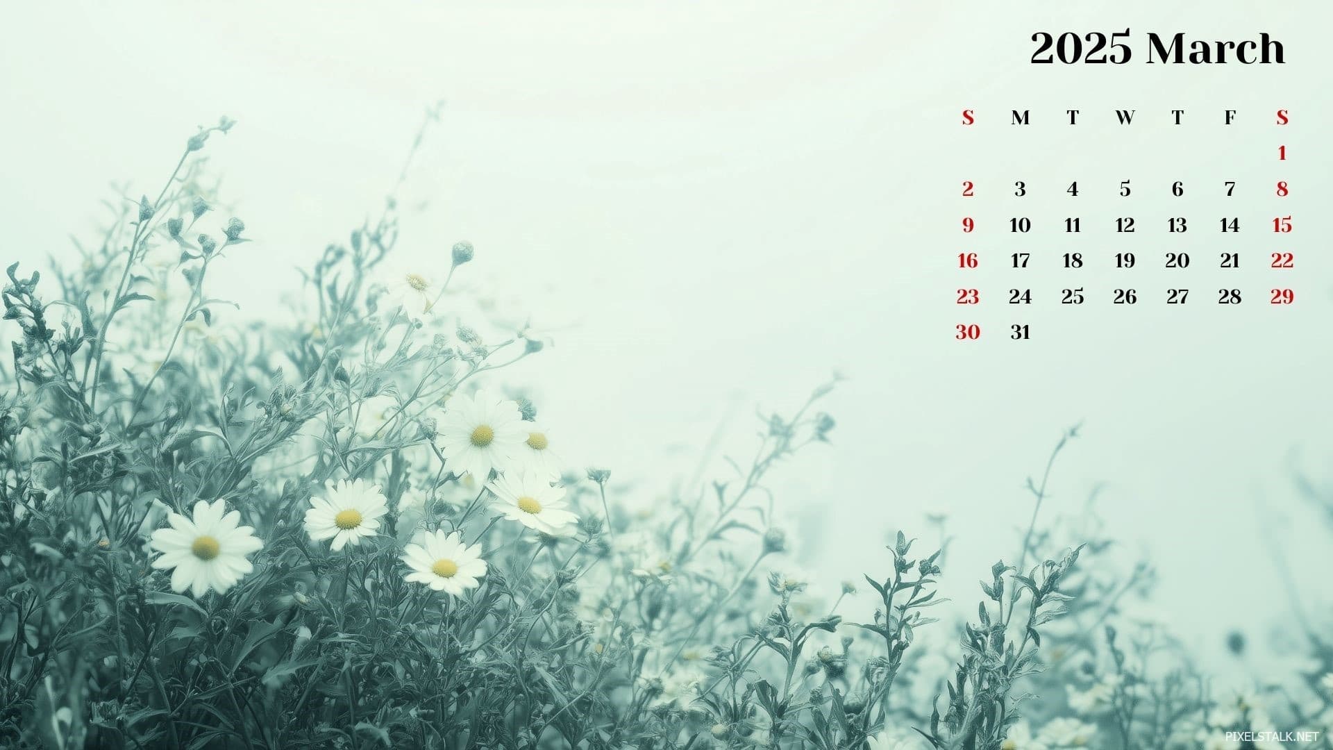 March 2025 Calendar Desktop Wallpapers PixelsTalk