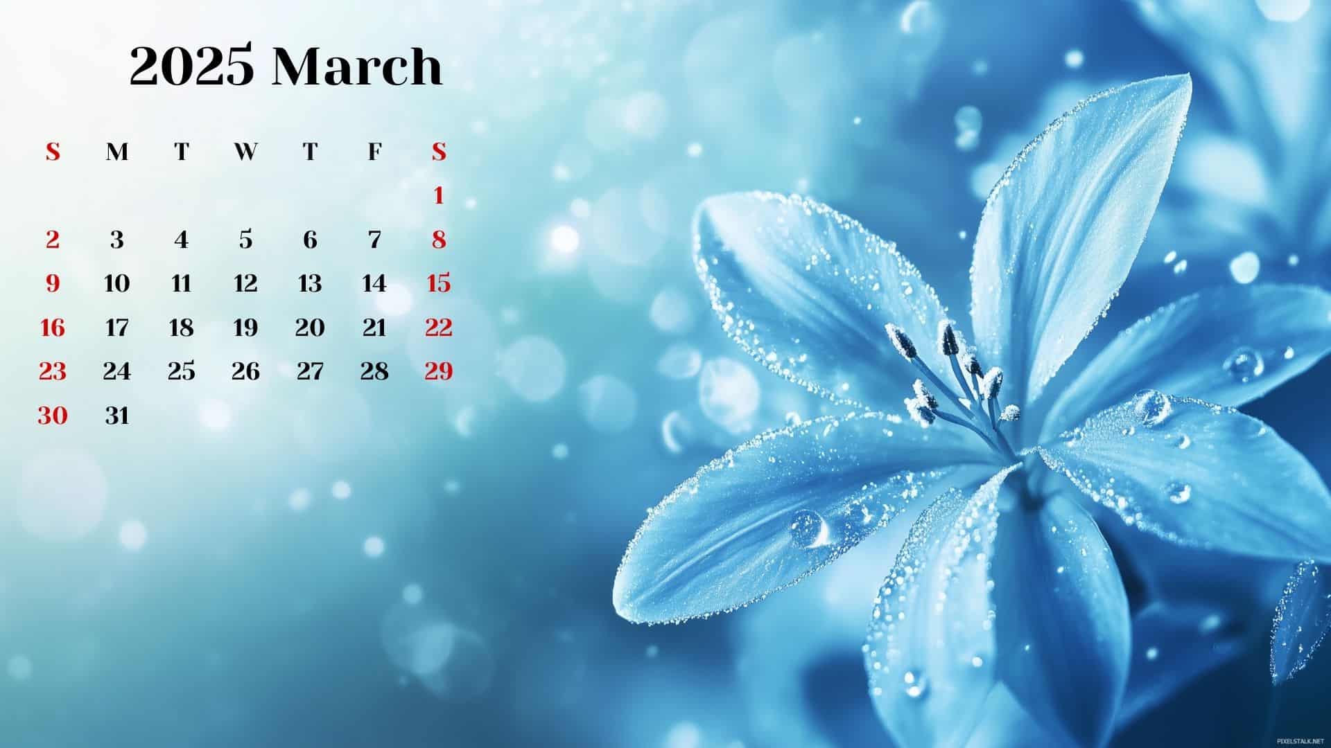 March 2025 Calendar Wallpaper HD PixelsTalk