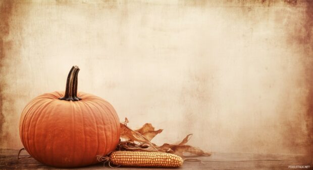 Minimalist vintage fall scene of a pumpkin and dried corn on a wooden table, with muted beige tones.