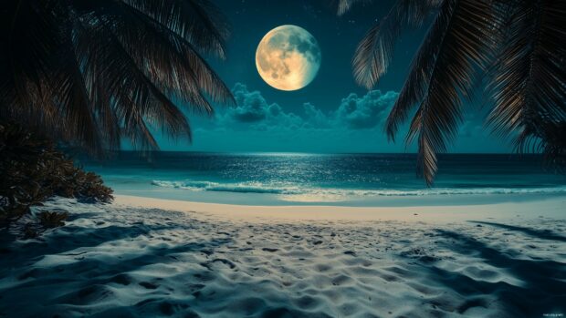 Moon 4K wallpaper with a quiet beach scene under moonlight, with the sand and gentle waves glowing softly, framed by palm trees and a calm night sky.
