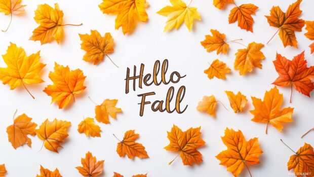 Orange and yellow autumn leaves scattered across a plain white background with text Hello Fall in bold.