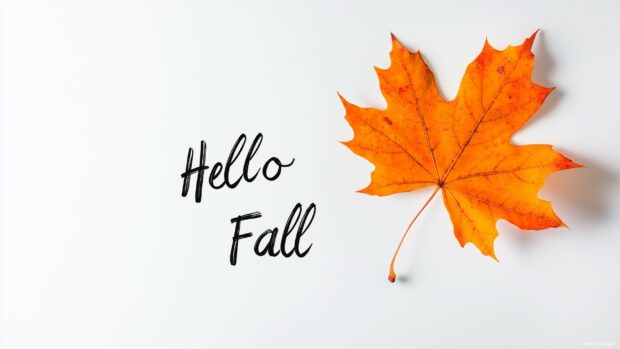 Single maple leaf with soft shadows and text Hello Fall in handwritten font over a plain white 2K background.