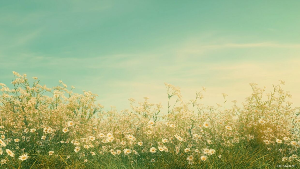 Spring Season Wallpaper HD - PixelsTalk