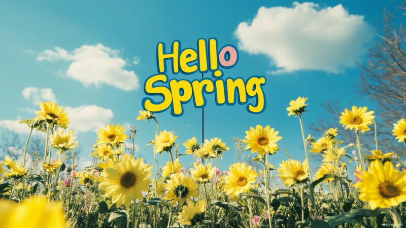 Beautiful Spring Images - PixelsTalk