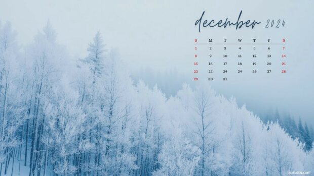 Winter December 2024 Calendar Desktop Wallpaper HD.