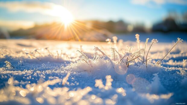Winter snow with a frosty morning sun.