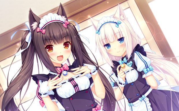 2960x1840 backgrounds hd nekopara.