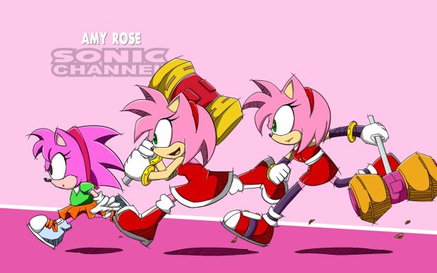 Amy rose sonic channel style.
