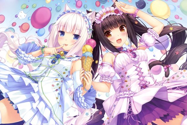 Anime girls Nekopara Pictures.