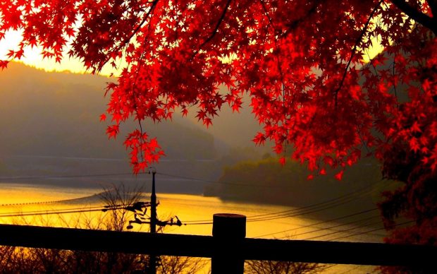 Autumn landscape wallpapers hd.