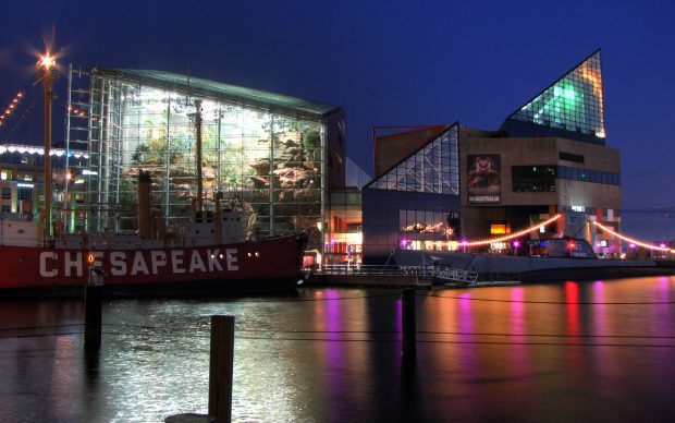 Baltimore Aquarium At Night Photos.