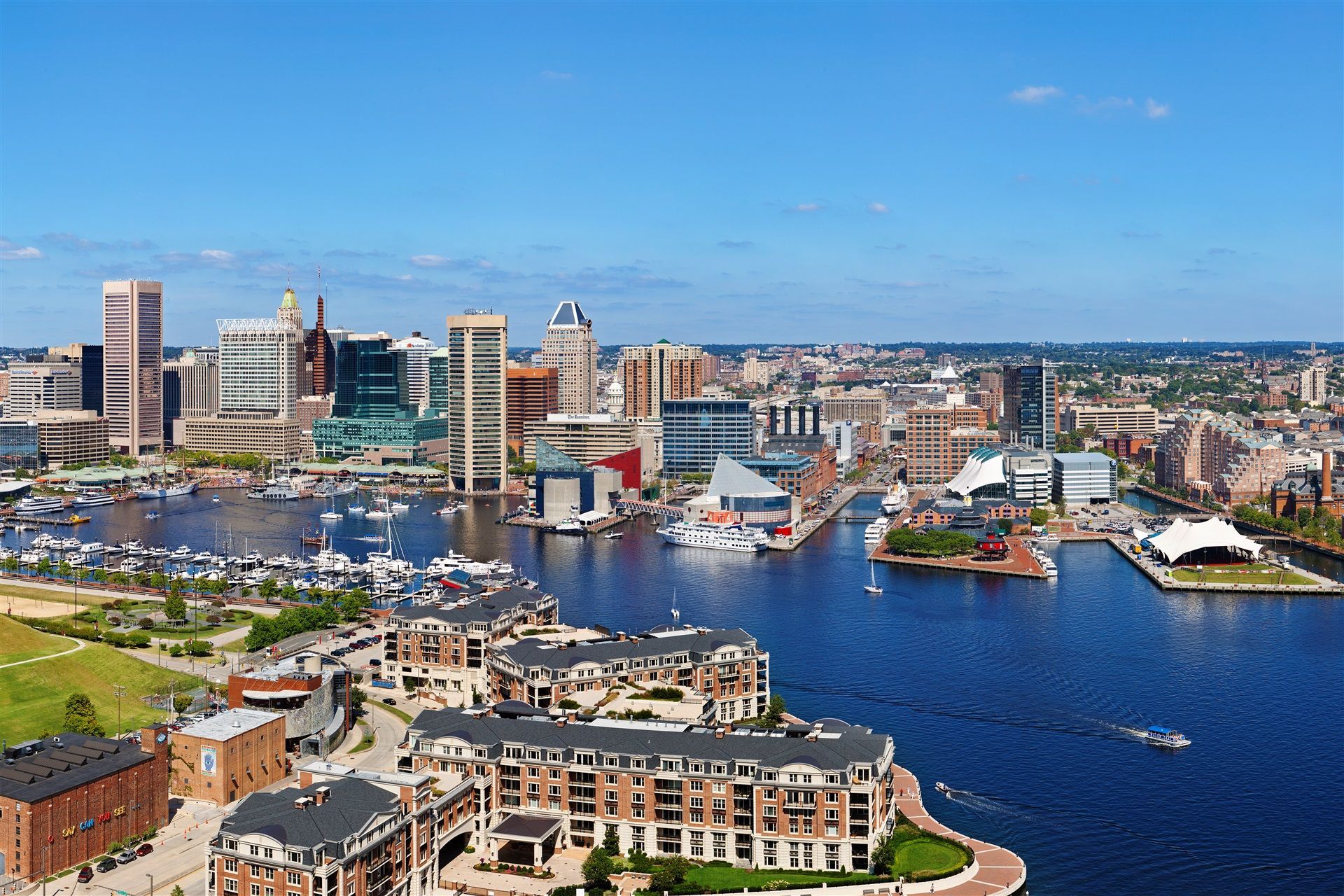 Baltimore iPhone Wallpapers  Top Free Baltimore iPhone Backgrounds   WallpaperAccess