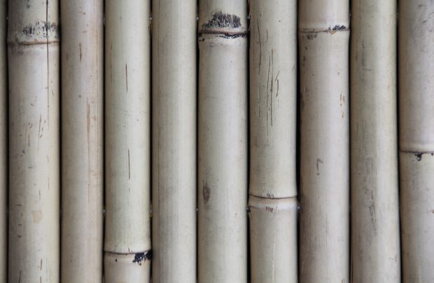 Bamboo wood texture natural shaft fencing wallpaper photo.