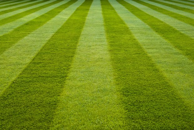 Baseball field grass wallpaper hd.