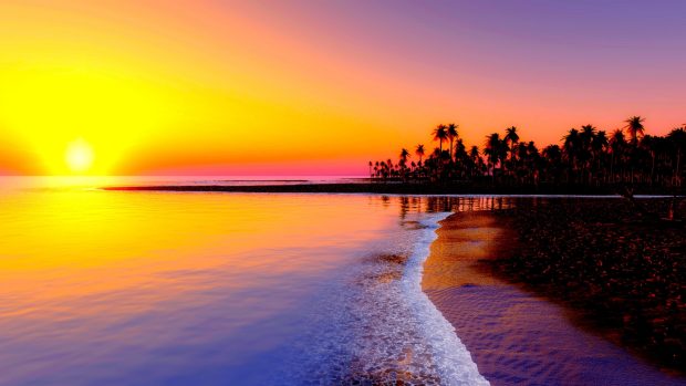 Beach tropics sea sand palm trees sunset images 2560x1440.
