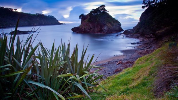 Beach wondrous cove rock clouds plants shore landscapes nature coast wallpaper high definition.