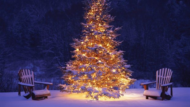 Beautiful Christmas Tree Image.
