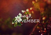 Beautiful November HD Wallpaper.