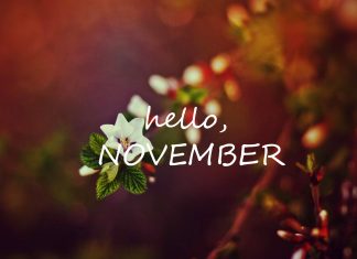 Beautiful November HD Wallpaper.