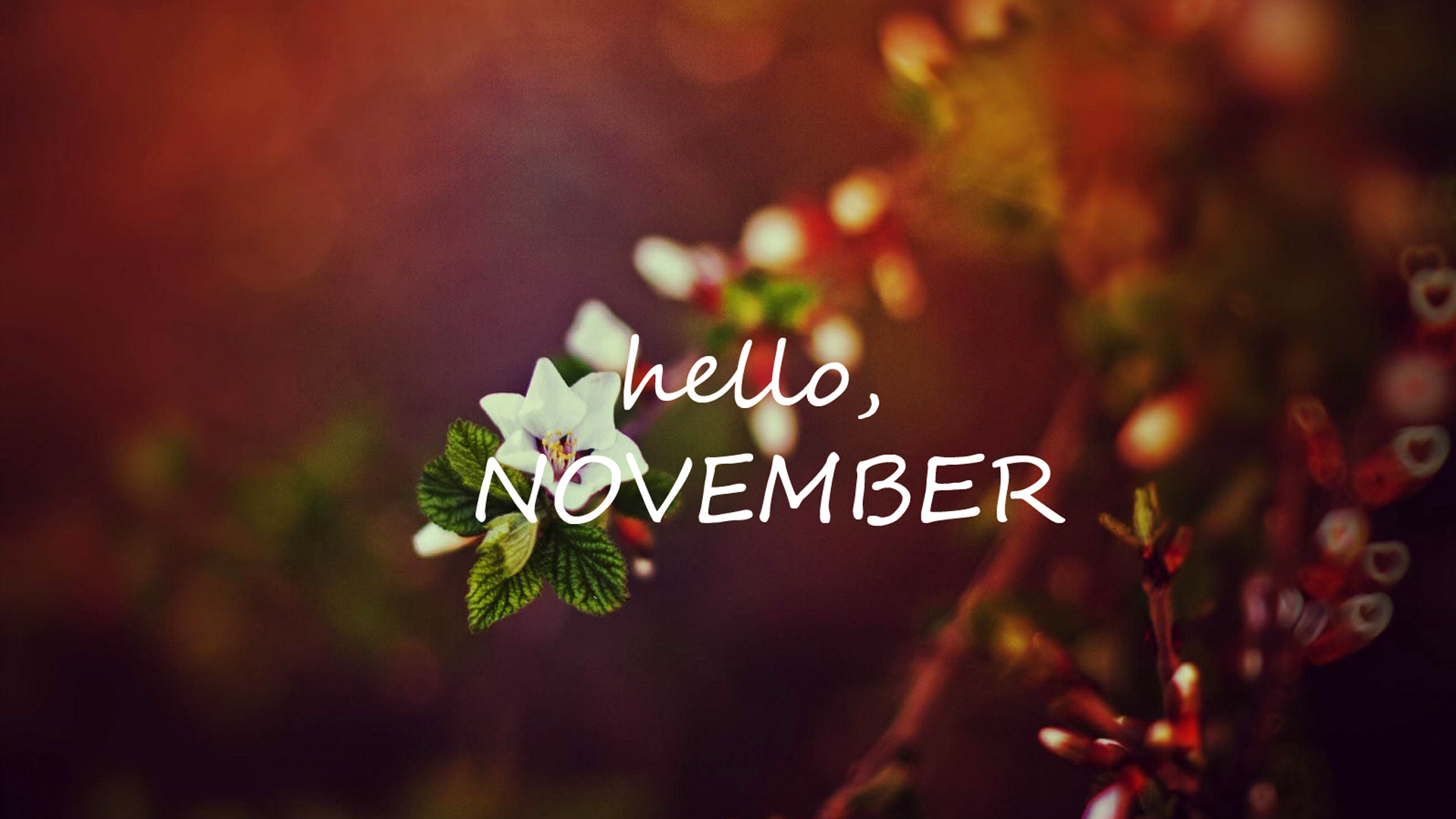 Hello November HD Wallpapers