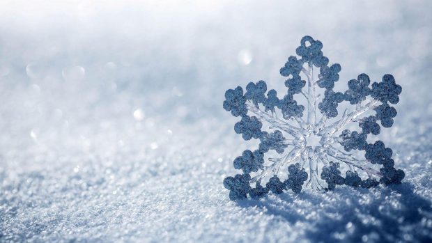 Beautiful Snowflake Desktop Background 1