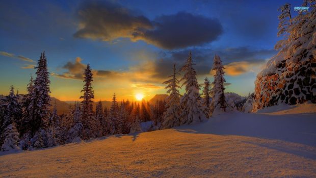 Beautiful Sunset Winter Backgrounds 1