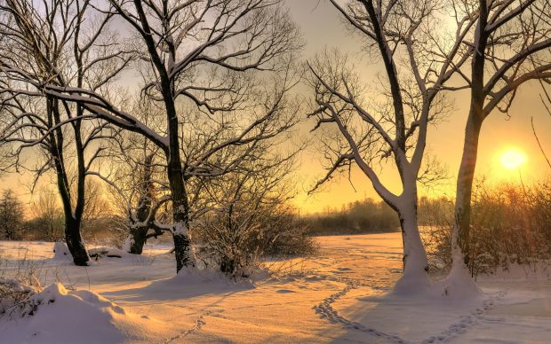Beautiful Sunset Winter Backgrounds 2
