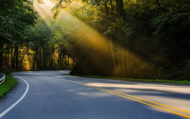 Beautiful beautiful road wallpaper hd.