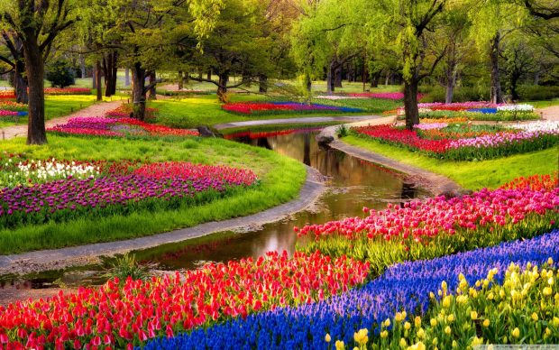 Beautiful spring garden wallpaper new.