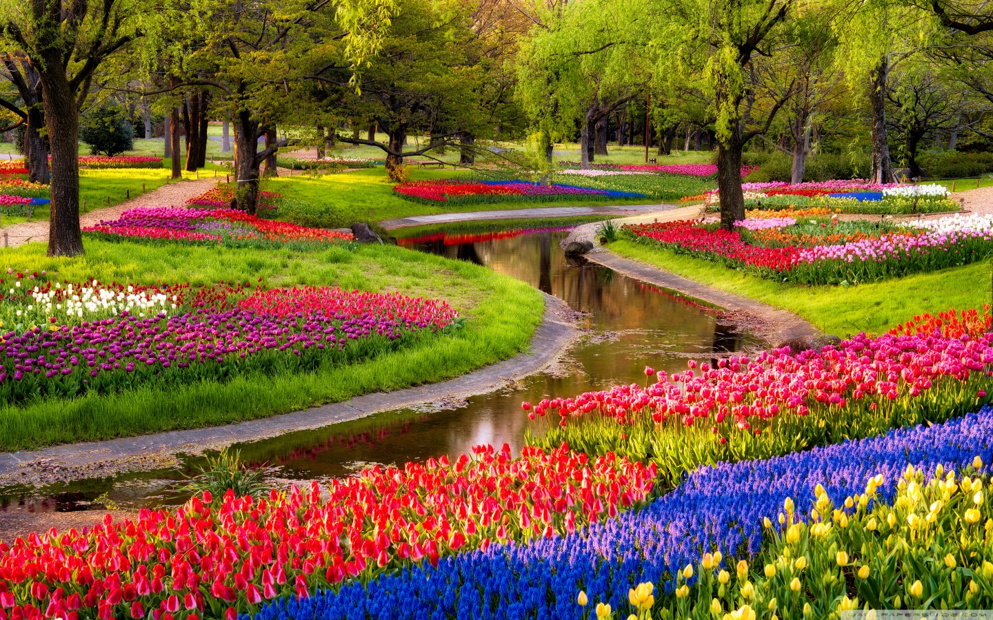 Spring Wallpapers HD download free 