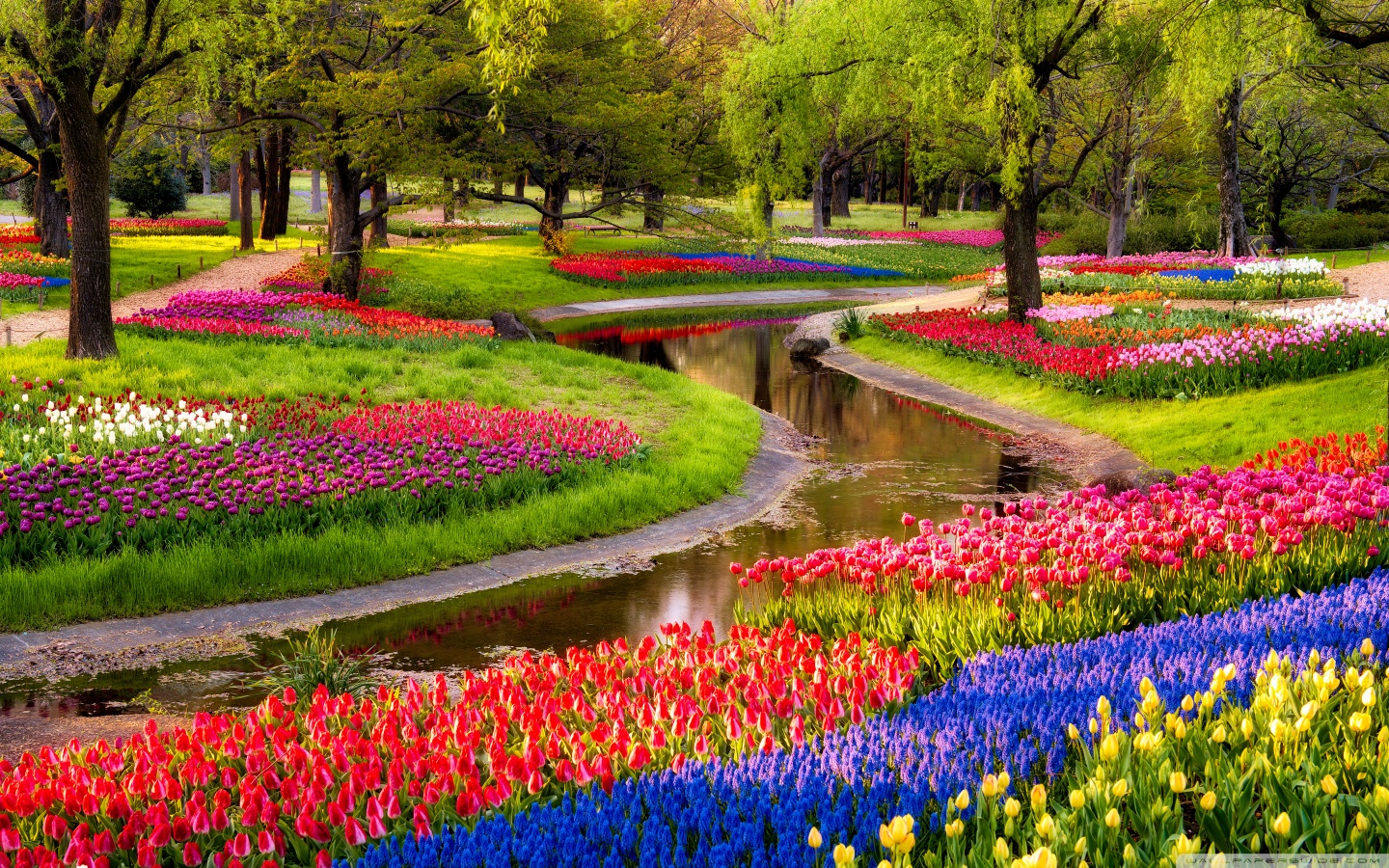 Spring Wallpapers HD download free Spring Wallpapers HD download free