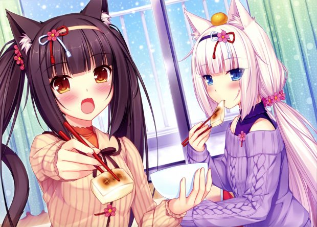 Best Nekopara Game Images.