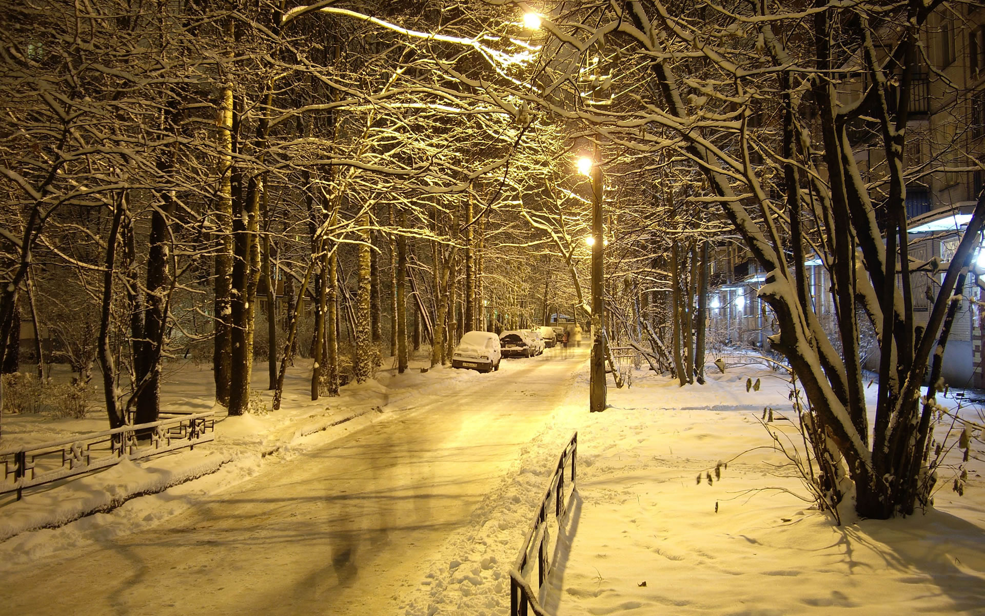 Winter Wallpaper Widescreen Hd