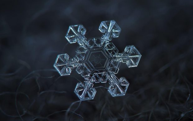 Black Snowflake Wallpaper HD Resolution 1