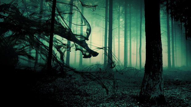 Black sun empire forest tree shadow smoke dark scary creepy spooky images.