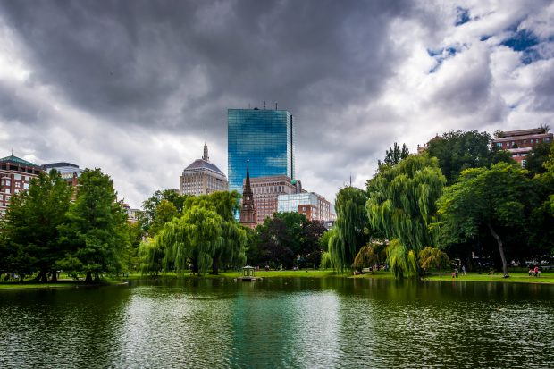 Boston  Building Charles River City Park Tree