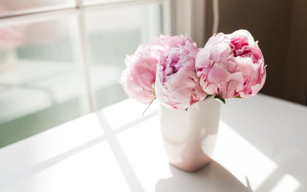 Bouquet of Peonies wallpaper.